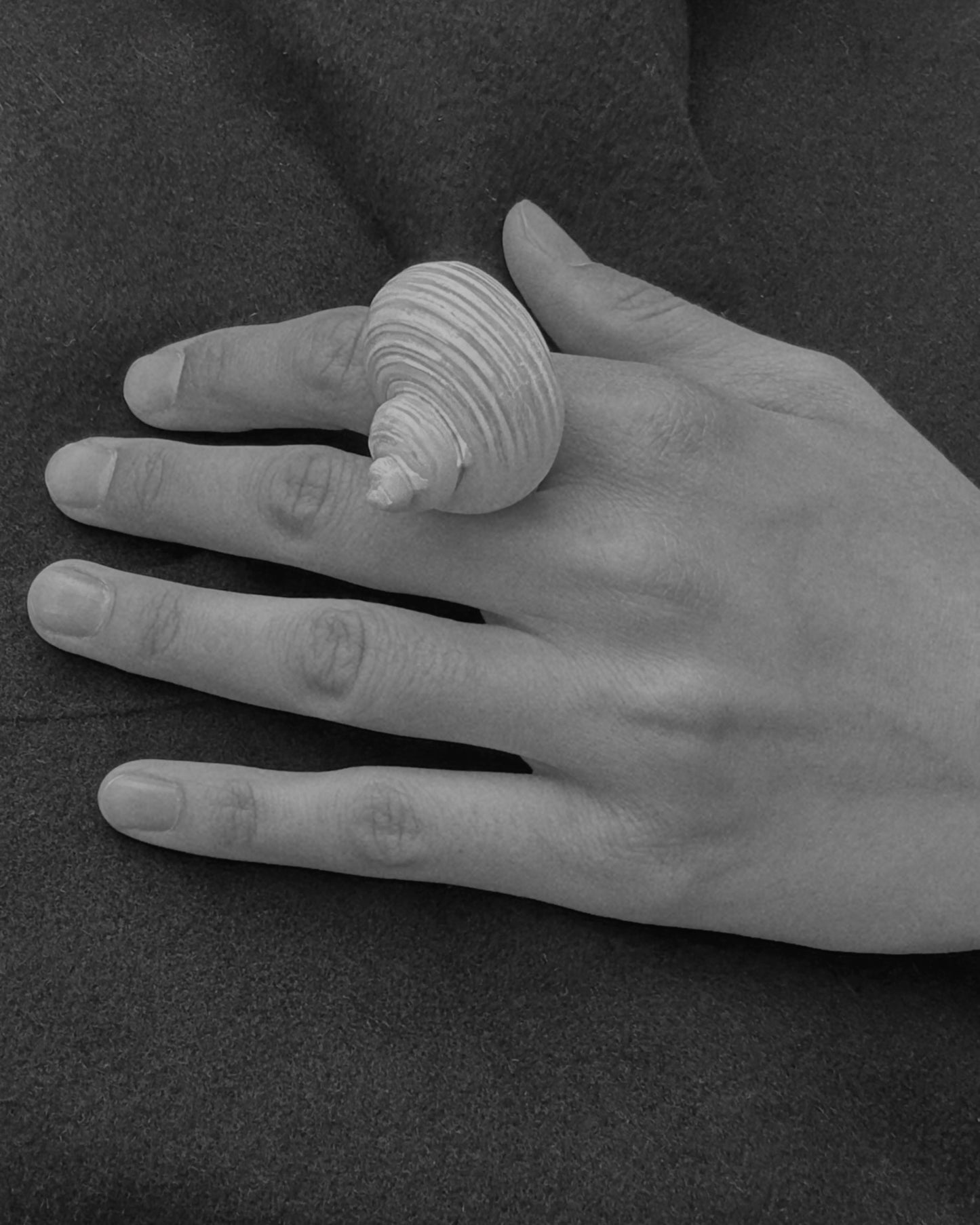 Turbo Shell Ring